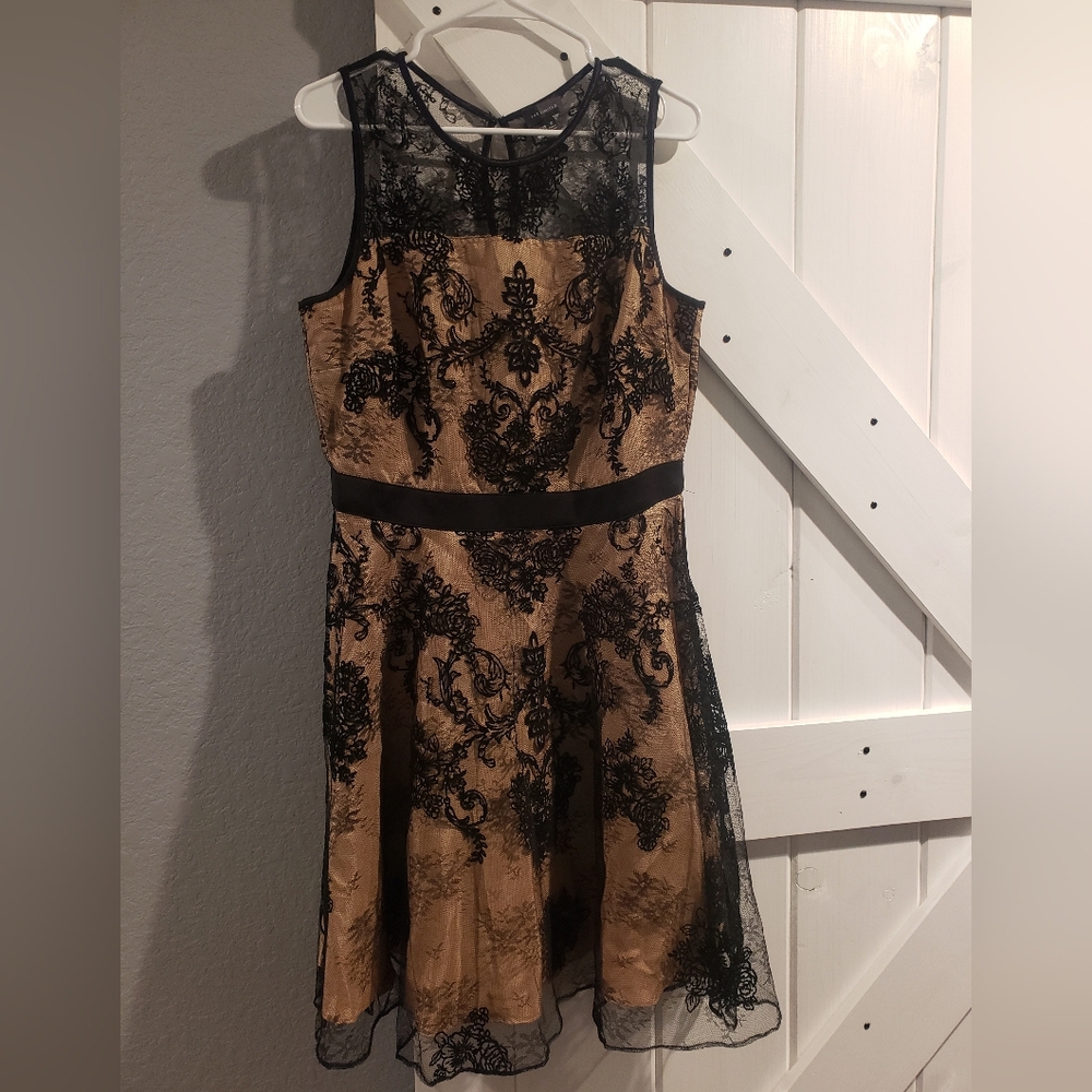 The Limited Black and Tan Lace Midi Dress